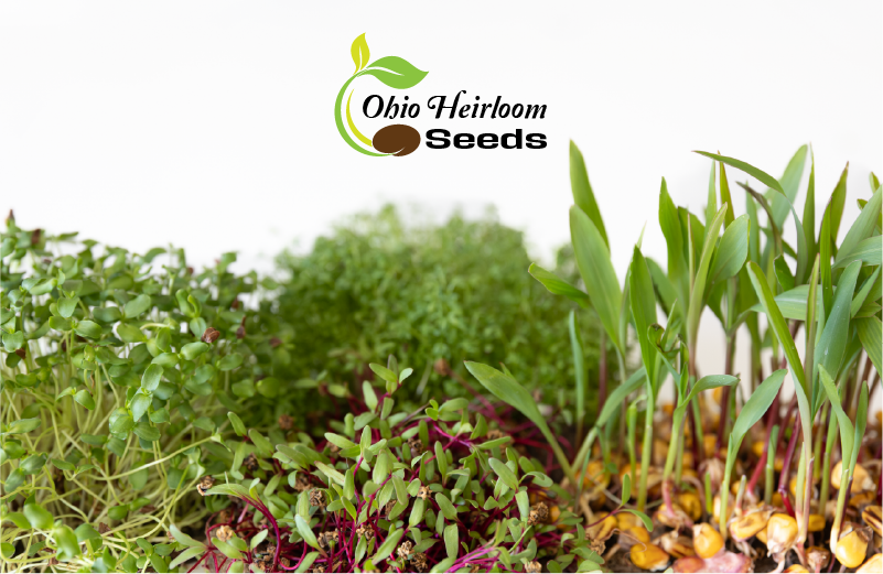 Web Ohio Heirloom Seeds-12
